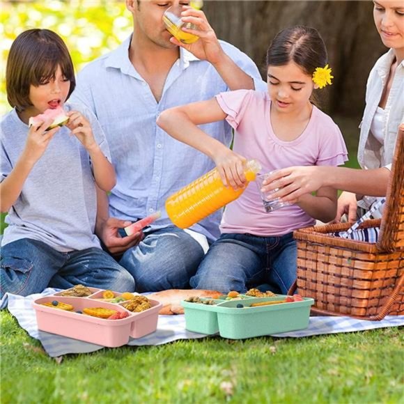 Lunch Box for Kids (4 Pack), 4-Compartment Meal Prep Food Storage Containers - Picture 6 of 7